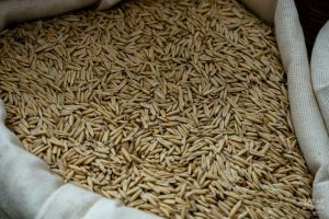 В Татарстане проведут государственный мониторинг качества более 2,2 млн тонн зерна
